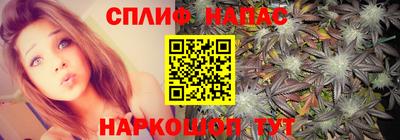 мяу мяу мука Владикавказ