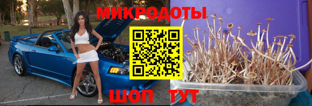 Псилоцибиновые грибы MAGIC MUSHROOMS  Вход с VPN  Выборг  Псилоцибиновые грибы Magic Shrooms 