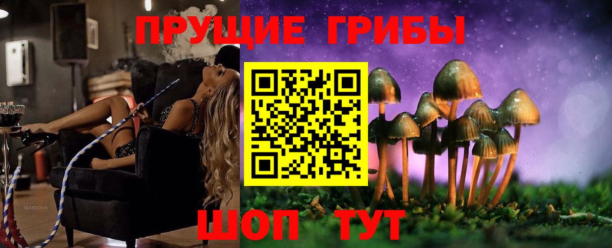 Псилоцибиновые грибы мицелий Выборг